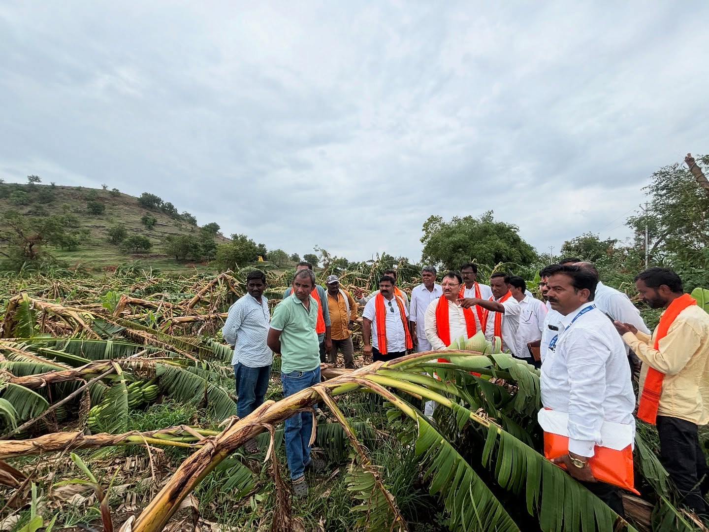 सामाजिक